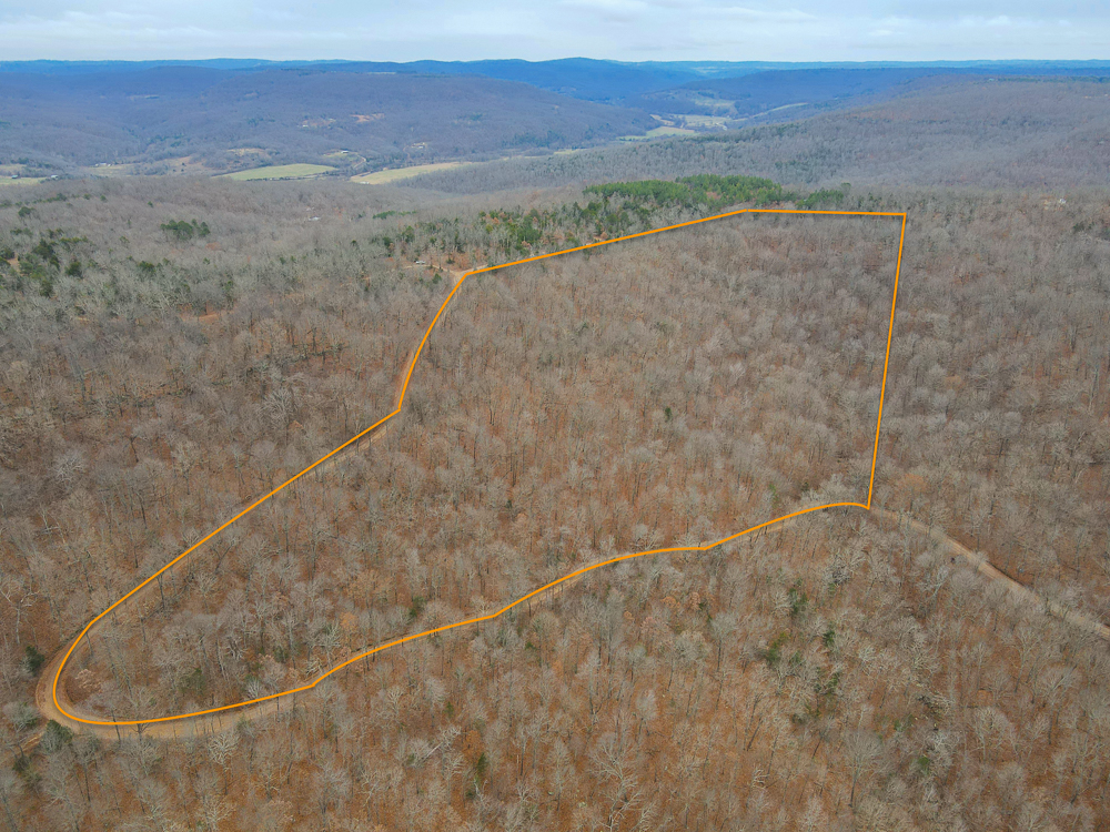 Wooded Ozark Tract With Views, Privacy, and Wildlife