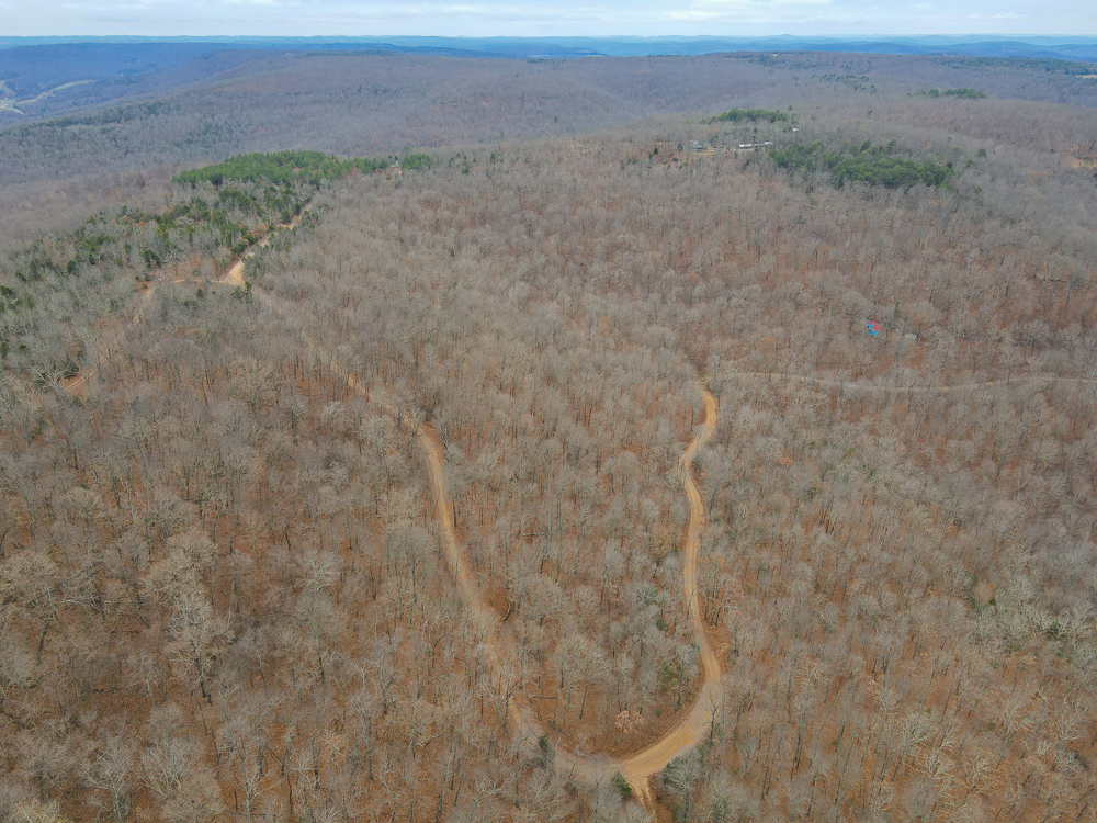 Wooded Ozark Tract With Views, Privacy, and Wildlife