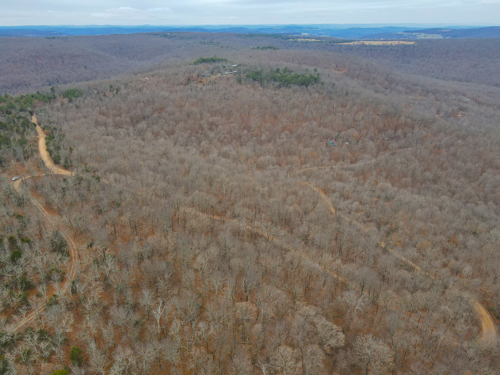 Wooded Ozark Tract With Views, Privacy, and Wildlife