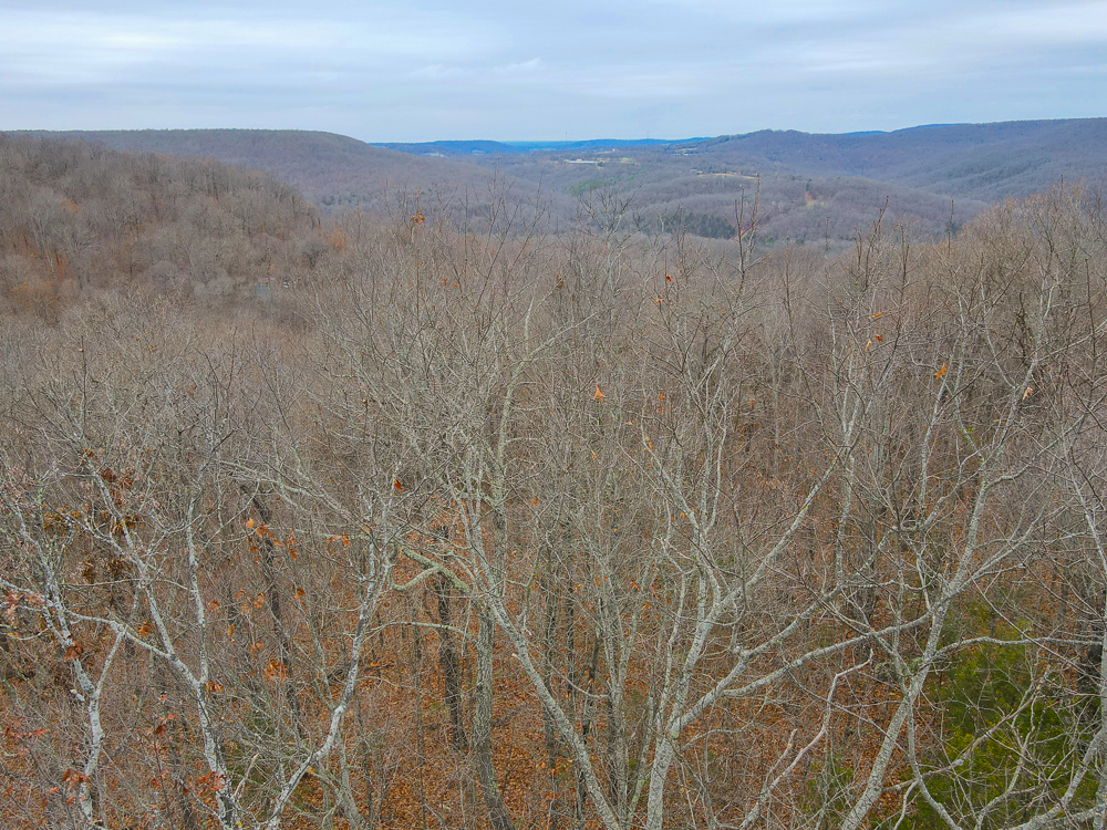 Wooded Ozark Tract With Views, Privacy, and Wildlife