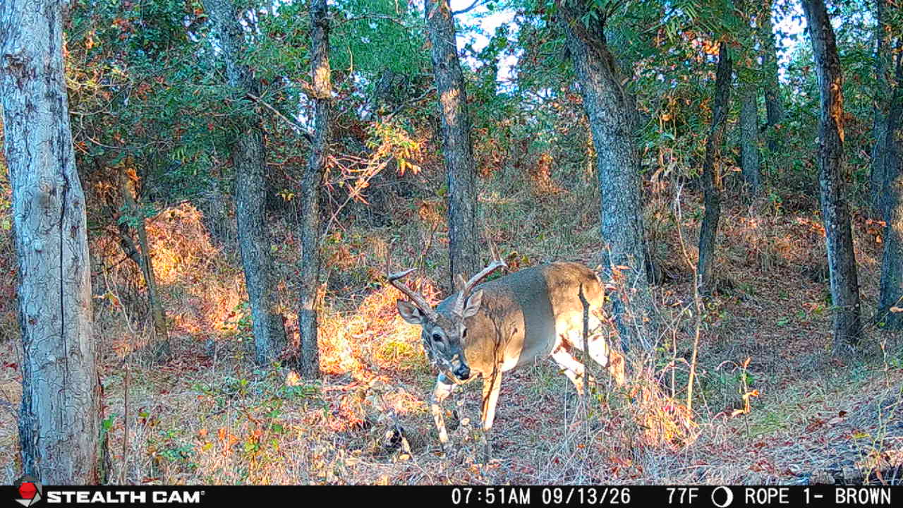 Amazing Turn-Key 153.742 Acre Hunting and Cattle Ranch in Brown County, TX