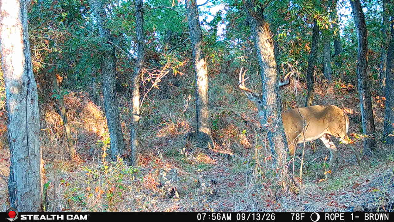 Amazing Turn-Key 153.742 Acre Hunting and Cattle Ranch in Brown County, TX