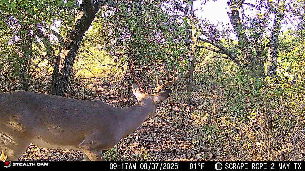 Amazing Turn-Key 153.742 Acre Hunting and Cattle Ranch in Brown County, TX