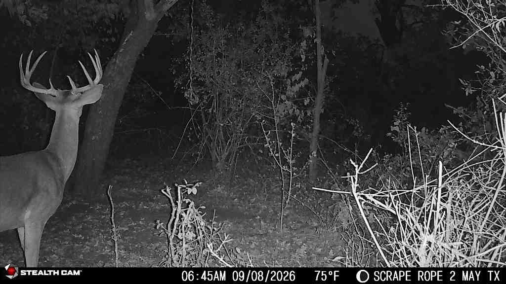 Amazing Turn-Key 153.742 Acre Hunting and Cattle Ranch in Brown County, TX