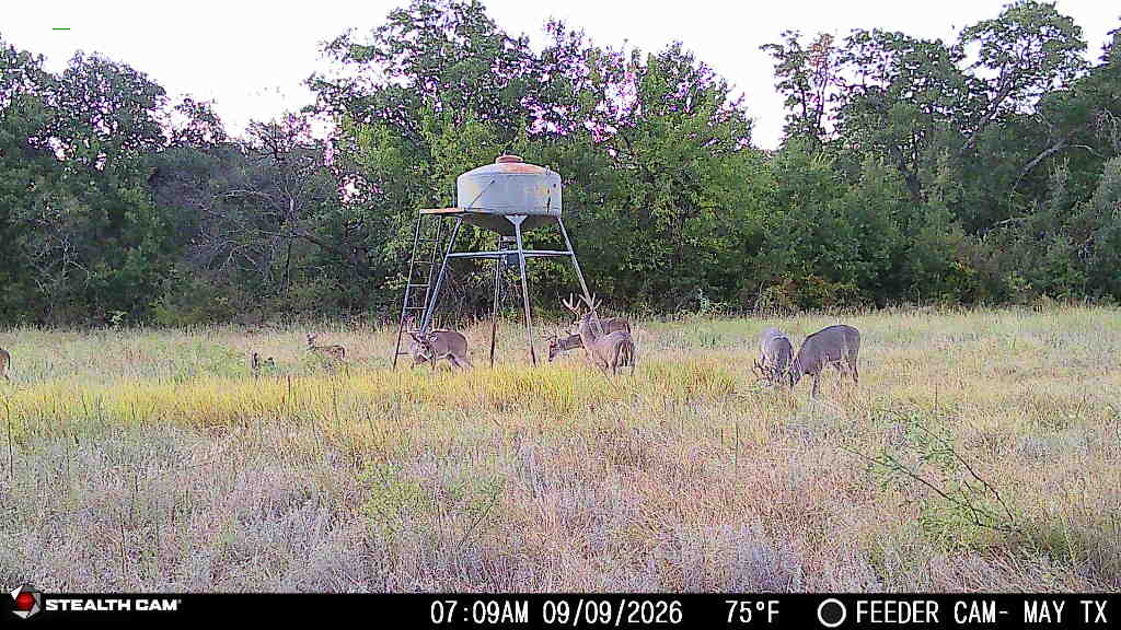 Amazing Turn-Key 153.742 Acre Hunting and Cattle Ranch in Brown County, TX