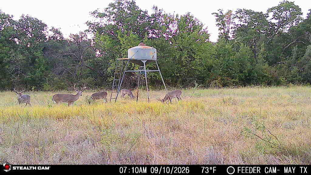 Amazing Turn-Key 153.742 Acre Hunting and Cattle Ranch in Brown County, TX