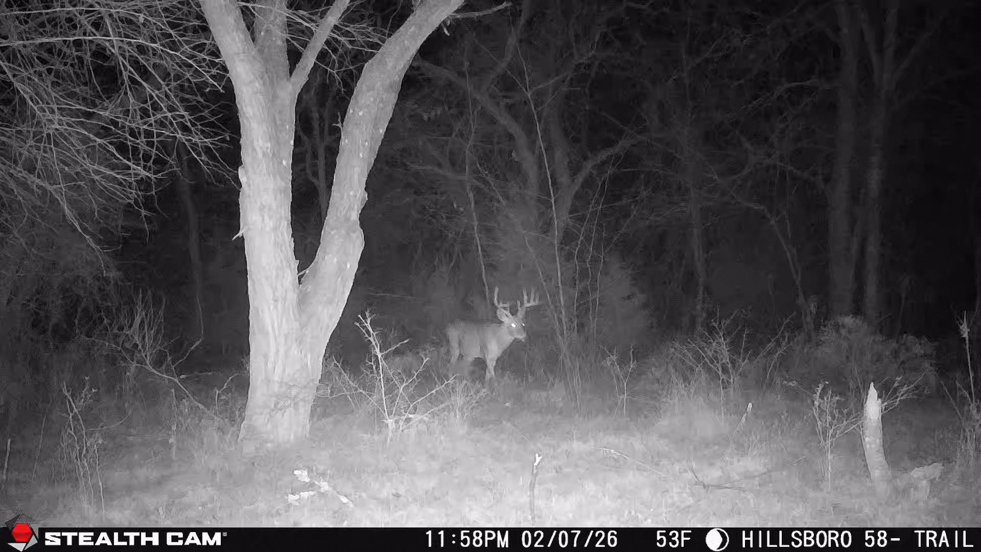 58.3 +/- Acres with Barndominium, Shop, Woods and Improved Pasture Near Lake Aquilla