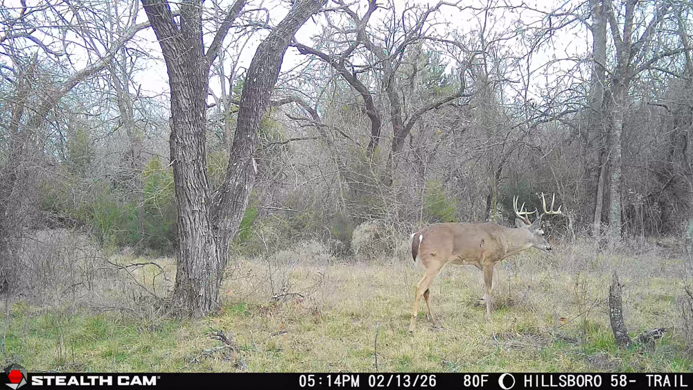 58.3 +/- Acres with Barndominium, Shop, Woods and Improved Pasture Near Lake Aquilla