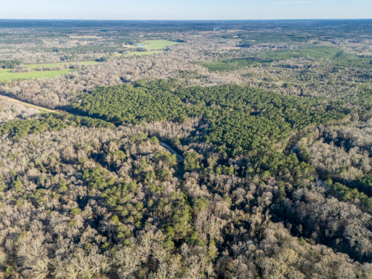 354 +/- Acre Premier Timber & Recreational Tract on Oakahay Creek in Covington County
