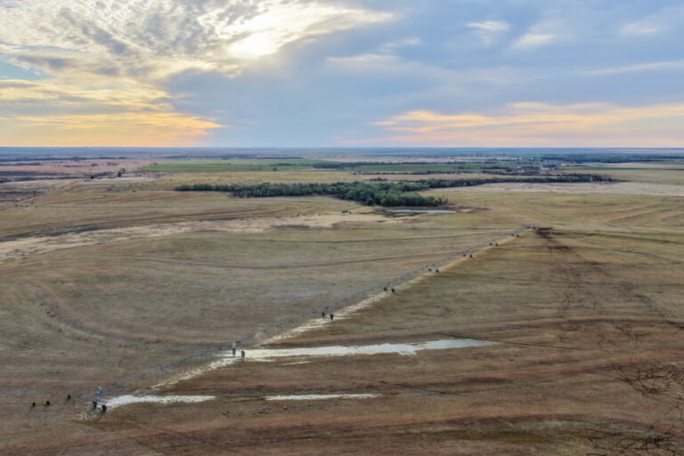 North Childress County Irrigated Farm & Ranch