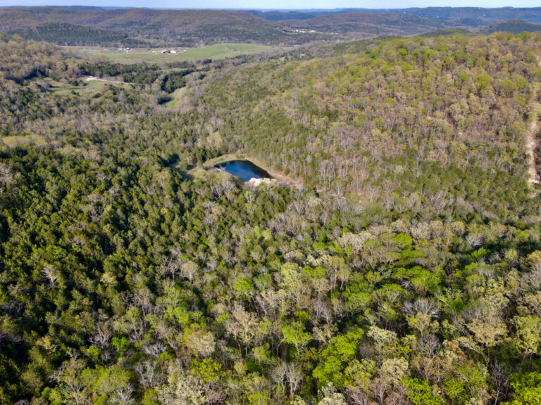 201 +/- Acres With Cabin, Pond, and Trails Near Beaver Lake Dam