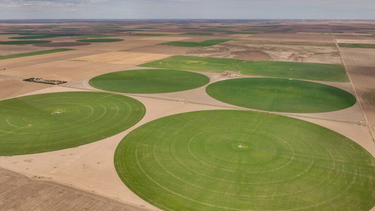 Prime Agricultural Portfolio in Grant County