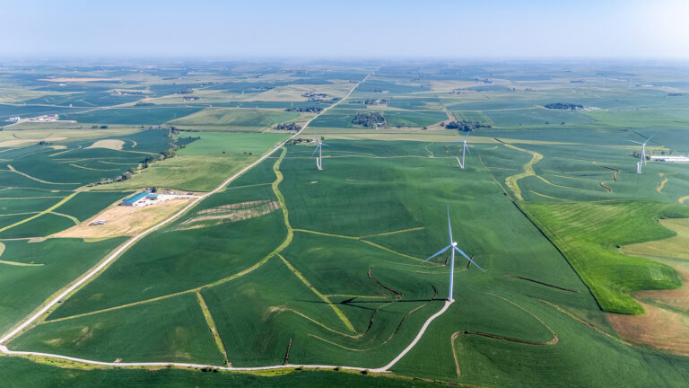 Premier 273 +/- Acre Income-Producing Farm