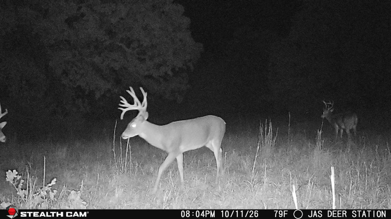 Great Hunting, Build Sites, & Income-Producing Land Between Tulsa & OKC